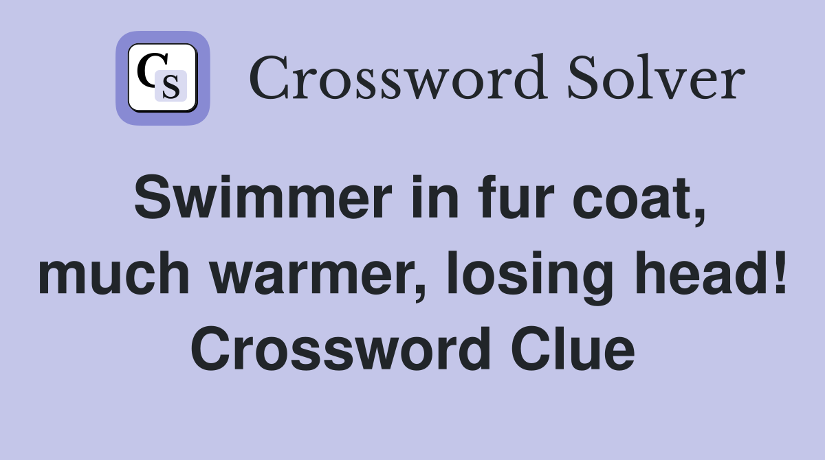 Swimmer in fur coat, much warmer, losing head! Crossword Clue Answers Crossword Solver